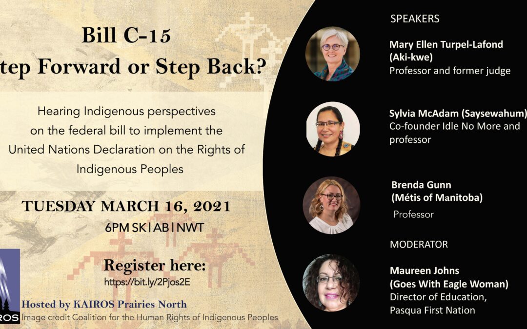 UN Declaration learning event