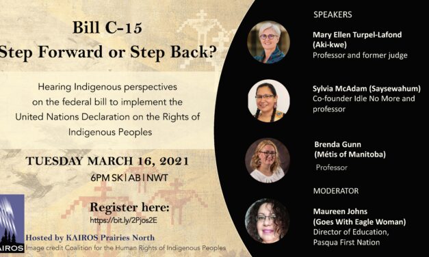 UN Declaration learning event