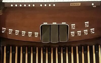 In Search of a New Home