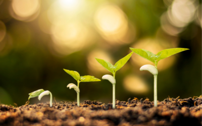 Honouring comings and goings in our Regional Council