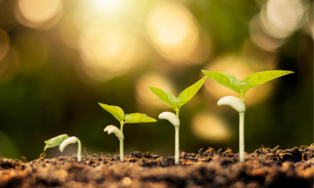 Honouring comings and goings in our Regional Council