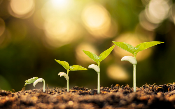 Honouring comings and goings in our Regional Council