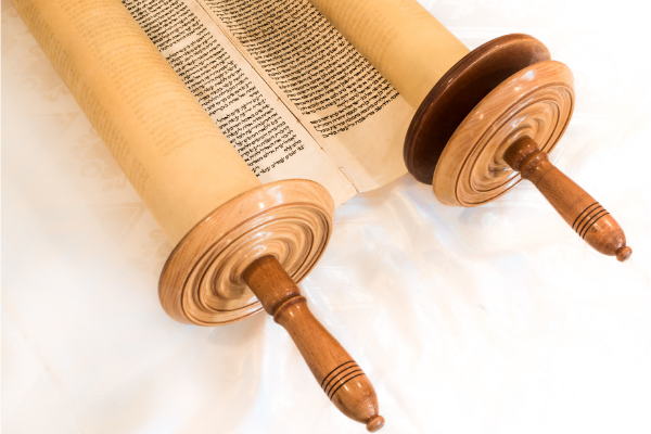 A Torah scroll, tall, thin and partly unrolled, mounted on two lovely wooden dowels.